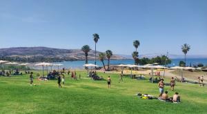 חוף צמח צילום: נועה אלפנדרי, איגוד ערים כינרת חדשות