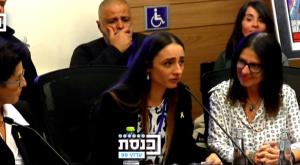 טאיסיה זמולוצקי בוועדה לקידום מעמד האישה צילום: צילום מסך, ערוץ הכנסת חדשות