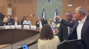 כאוס בוועדה צילום: ללא  פוליטי