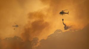 כיבוי שריפות בלוס אנג'לס צילום: Toa55,Shutterstock חדשות
