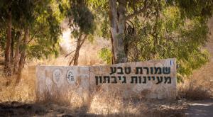 מעיינות גיבתון צילום: Nati Shohat,FLASH 90 חדשות