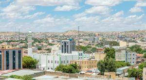 סומלילנד צילום: Vadim_N,Shutterstock מדיני