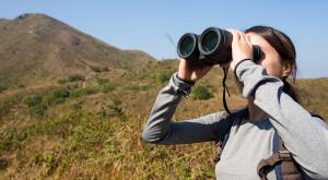 צפר חובב תיעד את הציפור הנדירה צילום: leungchopan,Shutterstock חדשות