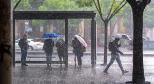 הגשם חוזר לכל הארץ צילום: Milan Petrovics,Shutterstock חדשות