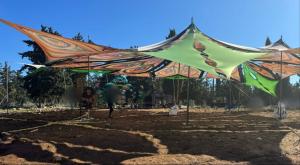 מסיבת טבע, ארכיון, צילום: דובורת משטרה חדשות