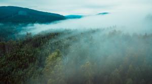 צפויות הגבלות ראות צילום: Judah Grubb,Shutterstock תחזית מזג האוויר