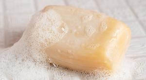 ריקול לסבון צילום: Elena Kabenkina,Shutterstock חדשות