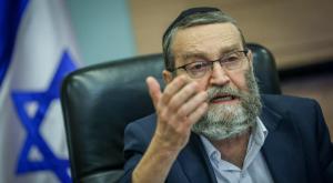 גפני צילום: Chaim Goldberg,Flash90 חדשות