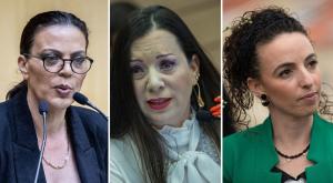 סילמן, גוטליב ודיסטל צילום: פלאש90 וקאנבה חדשות