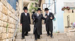 צפת צילום: David Cohen,FLASH 90 חדשות