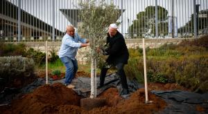 יו"ר הכנסת אמיר אוחנה בנטיעות בכנסת צילום: דוברות הכנסת פוליטי
