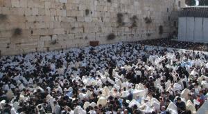 כל אחד מישראל יכול להתקרב לשכינה. הכותל המערבי.  צילום: הקרן למורשת הכותל המערבי פרשת ויקרא