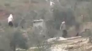 מתנחלים מתפרעים בשומרון צילום: צילום מסך חדשות