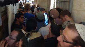 מאות עולים להר הבית צילום: ארנון סגל חדשות