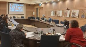 הוועדה המיוחדת לענייני רווחה ועבודה צילום: דוברות הכנסת, לירון וייס חדשות