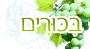 ביכורים - סיפור ב 48 שעות תרבות