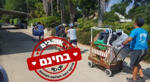 אוהבים בחינם, מוצרי תינוקות ופעוטות צילום: באדיבות המצלם חדשות