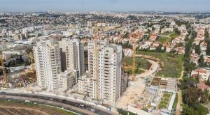 סביוני ארנונה צילום: יח"צ עיצוב הבית