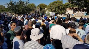 הלווית ספרי התורה צילום: דוברות הרב לאו חדשות