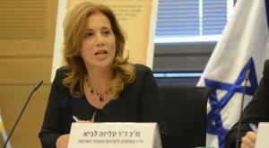 עליזה לביא צילום: יחצ חדשות
