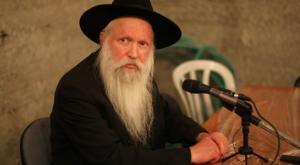 הרב גינזבורג צילום: Kobi Gideon / FLASH90  פסח