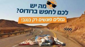 הצמונה שעוררה סערה צילום: רגבים חדשות