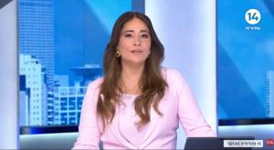 דנה ורון צילום: צילום מסך ערוץ 14 טלוויזיה
