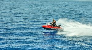 אילת, חיה נדירה הגיעה לביקור צילום: AlexDonin,Shutterstock חדשות