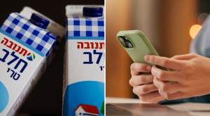מערך הסייבר באזהרה דחופה, צילום: Yonatan Sindel/Flash90 | PeopleImages,Shutterstock חדשות