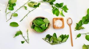 נטורופתיה, אילוסטרציה צילום: xuanhuongho,Shutterstock כדאי לדעת