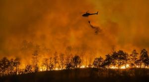 שריפה, אילוסטרציה צילום: Toa55,Shutterstock חדשות
