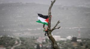 דגל פלסטין צילום: Nasser Ishtayeh,Copyright (c) Flash 90 2023 חדשות