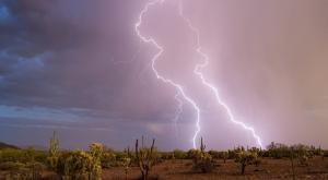 אירוע גשם חריג במדבר צילום: Sirlin,Shutterstock חדשות