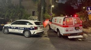  צילום: מד"א חדשות