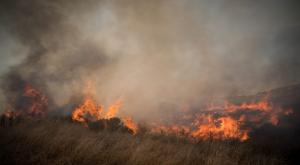 שריפה צילום: Yonatan Sindel,Flash90 חדשות