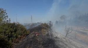 השריפה ביער בן שמן צילום: תיעוד מבצעי כבאות והצלה, צילום מסך חדשות