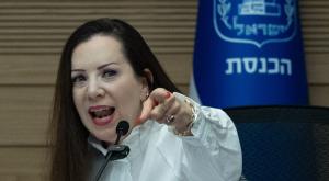 טלי גוטליב צילום: Yonatan Sindel,Flash90 חדשות