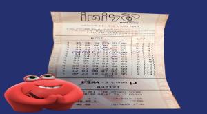  צילום: ללא חדשות