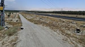 חסידות לאורך הדרך צילום: יותם בשן החברה להגנת הטבע חדשות