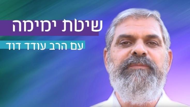שיטת ימימה: כיצד נפסיק  להתנגש עם הסביבה