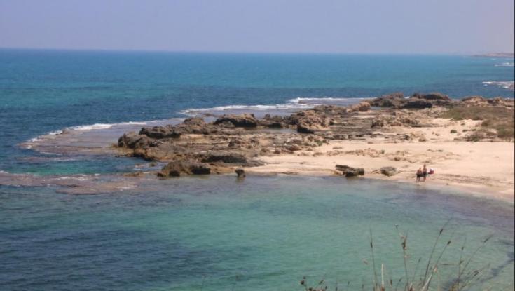 משרד הבריאות מזהיר: החוף הזה מסוכן לרחצה