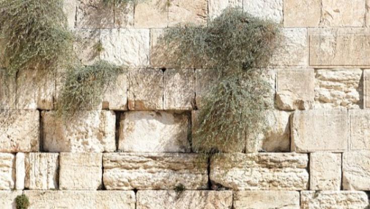 הלכות עשרה בטבת שחל ביום שישי