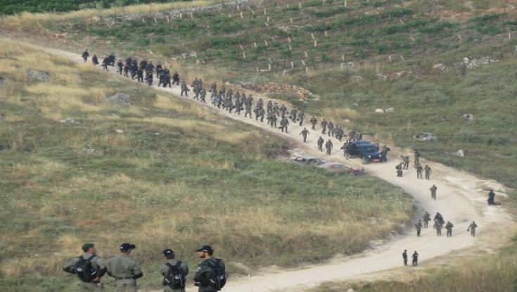 מתחילת השנה: למעלה מ-40 אירועי אלימות של נערי גבעות באזור יצהר