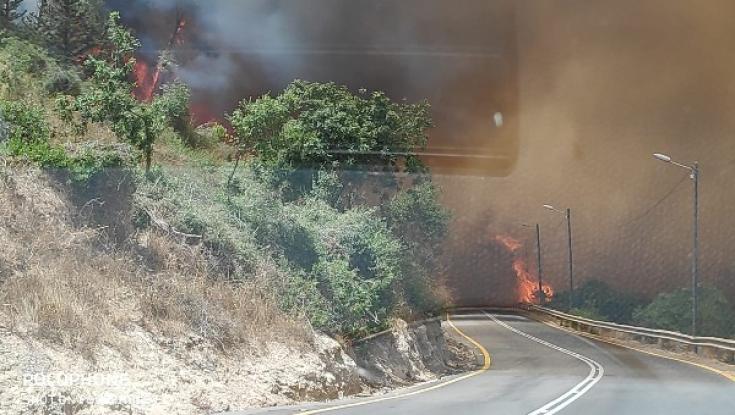גל שרפות ברחבי הארץ: מצב חירום הוכרז על ידי נציב הכבאות
