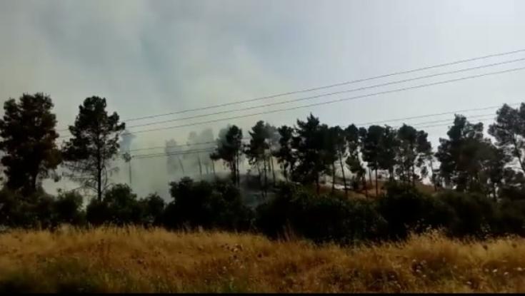 חשד להצתות: צפו בשרפות המשתוללת בשומרון