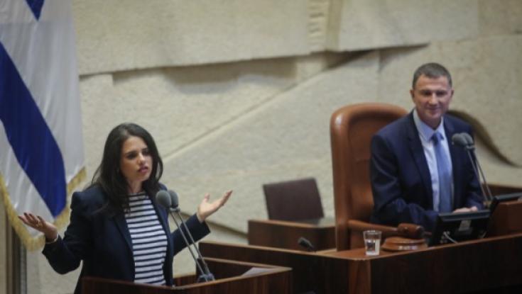 אדלשטיין לצד שקד. מנדלבליט תומך זילבר