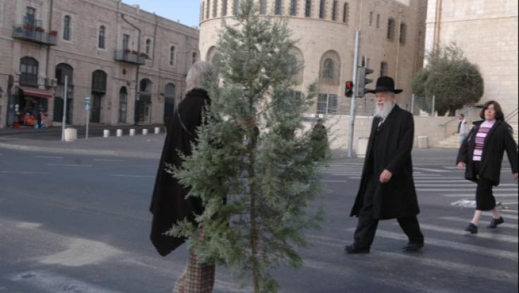 "הסירו את החרפה": עץ אשוח במרכז קניות מעורר סערה