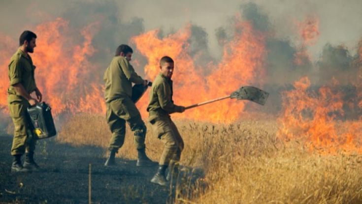 שקד: "כשנסוגים משטחים אז מקבלים טרור"