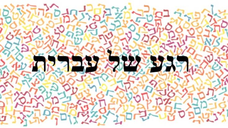 לקראת הבחירות - איך אומרים אופזיציה בעברית ?