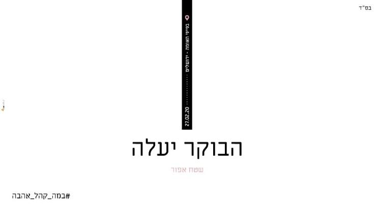 החדשים של ריבו, שפילמן, דרף, קליין ויהודה כ"ץ